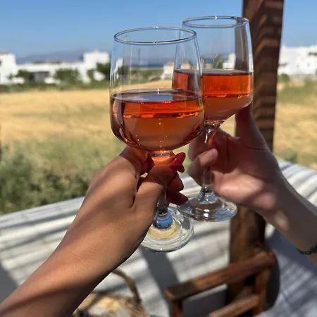 Tolakis Apartment Plaka (Naxos)
