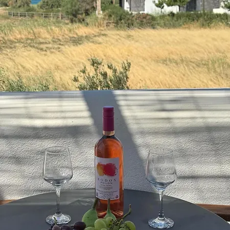 Tolakis Lejlighed