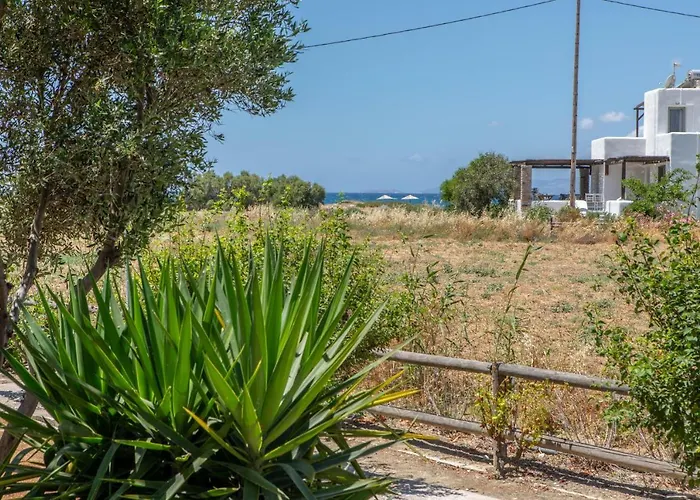 Tolakis Lejlighed Pláka